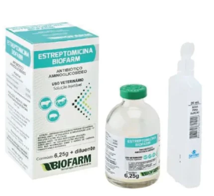 Estreptomicina Biofarm 6,25G