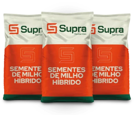 Sementes de Milho Híbrido - Supra
